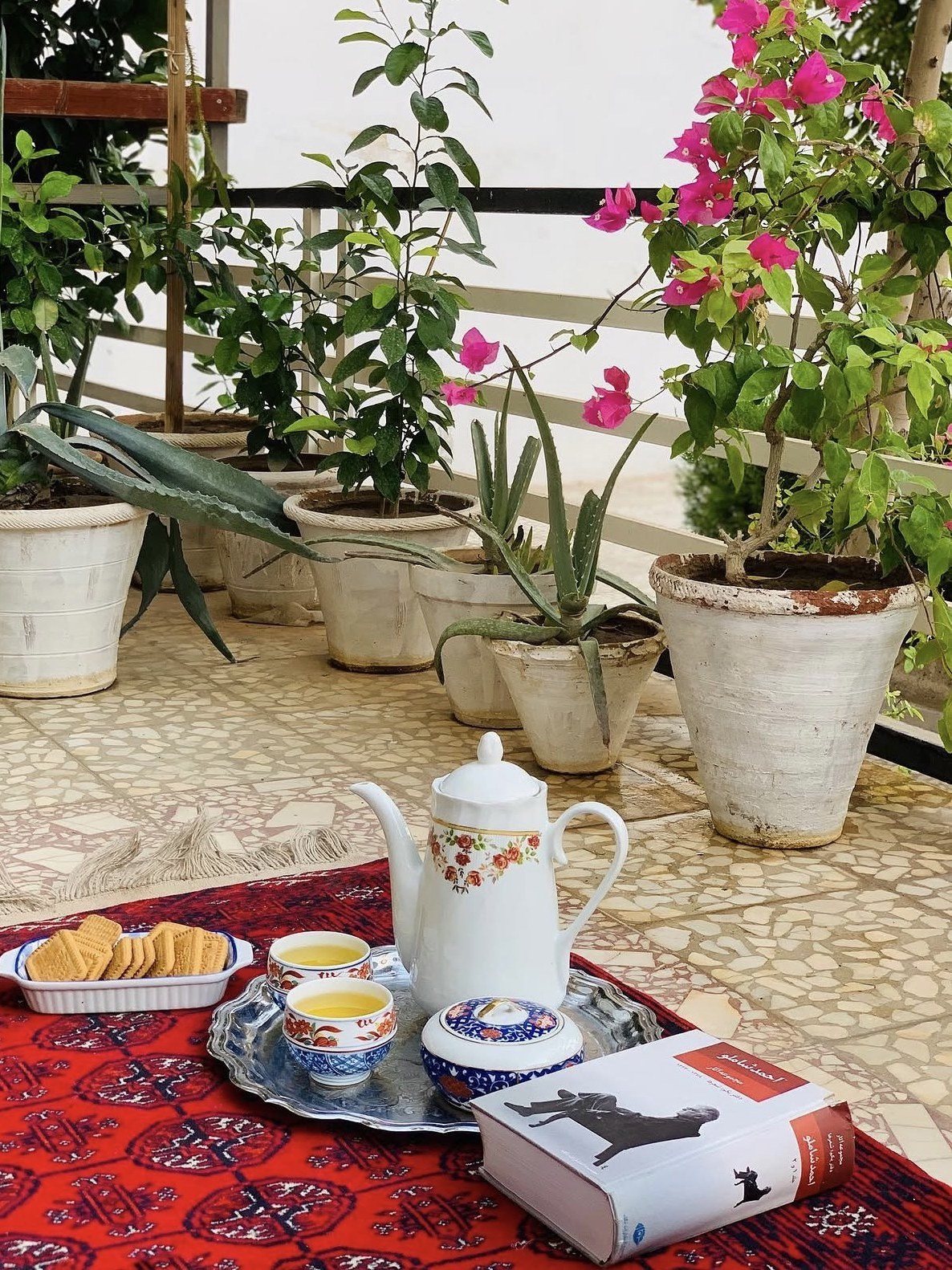 A teapot, two cups of tea and a book on a red carpet among potted plants