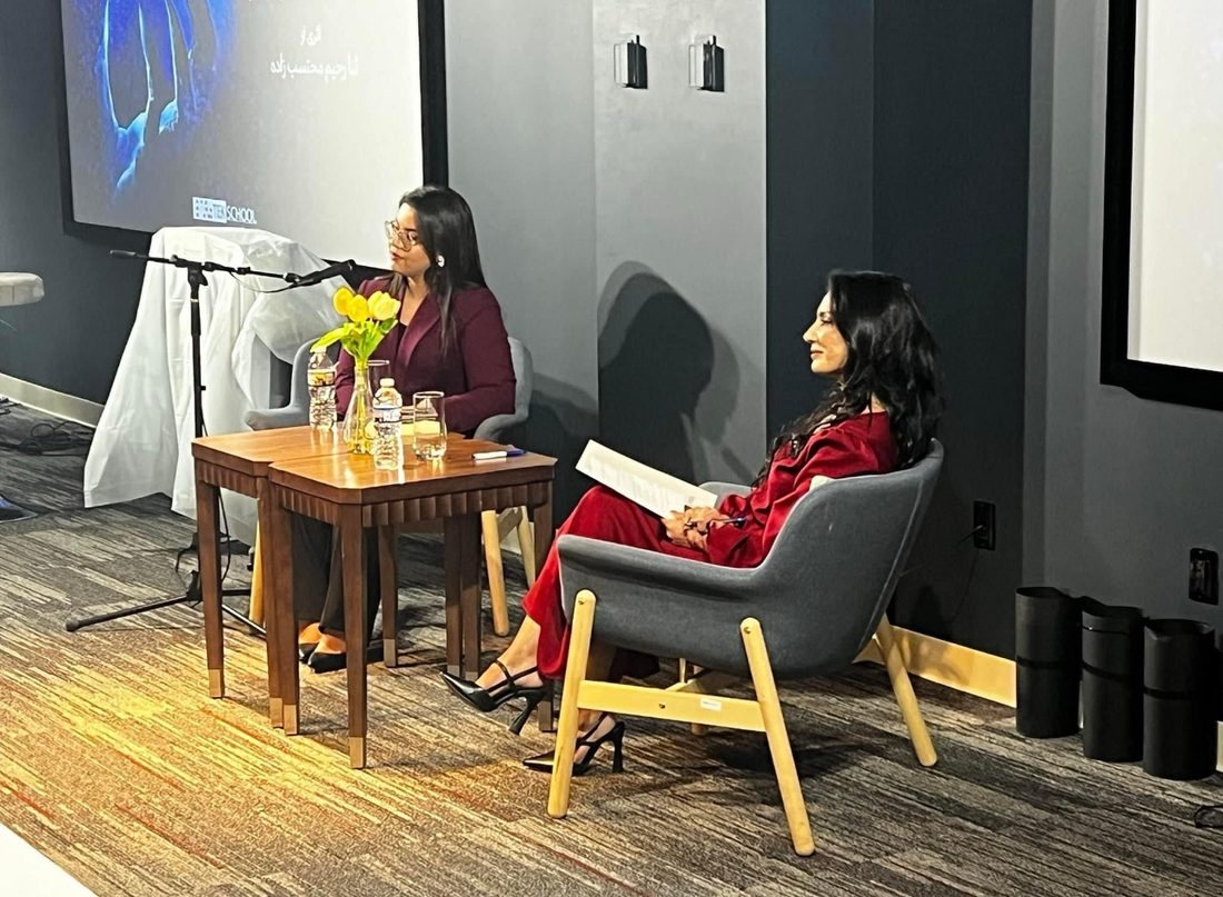 The author speaking on stage at the launch