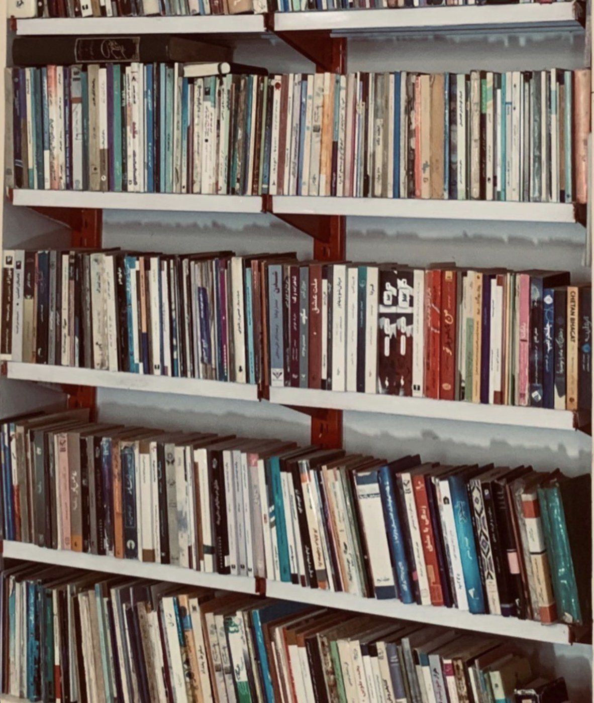 Shelves of the family library, filled with books from end to end